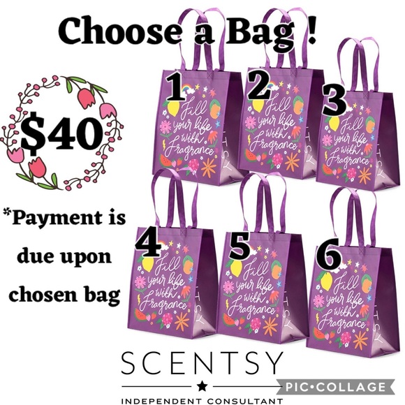 Scentsy fun fall themed mystery bag! This will have new scents and fan favorites - Picture 2 of 6